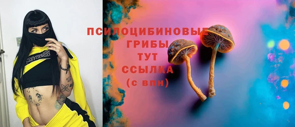 не бодяженный Верхний Тагил