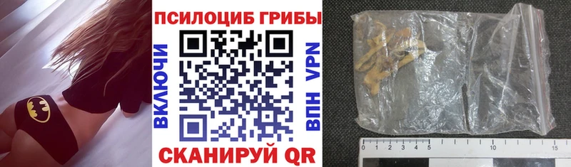 Купить где  Берёзовка  Псилоцибиновые грибы ЛСД 